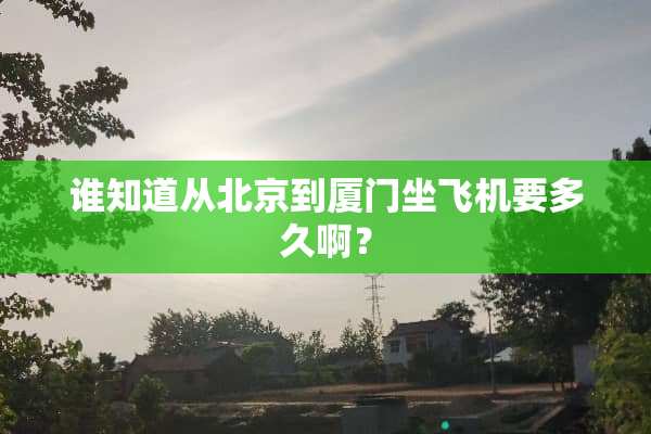 谁知道从北京到厦门坐飞机要多久啊？