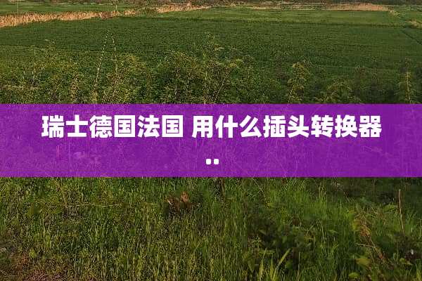 瑞士德国法国 用什么插头转换器..