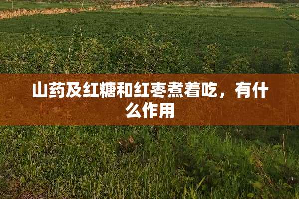 山药及红糖和红枣煮着吃，有什么作用