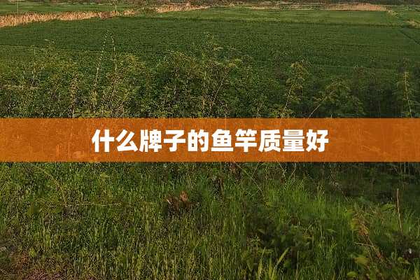 什么牌子的鱼竿质量好