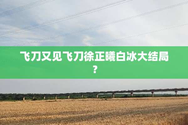 飞刀又见飞刀徐正曦**大结局？