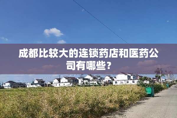 成都比较大的连锁药店和医药公司有哪些？
