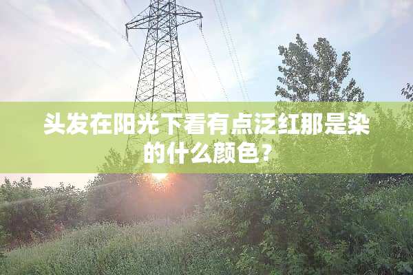 头发在阳光下看有点泛红那是染的什么颜色？