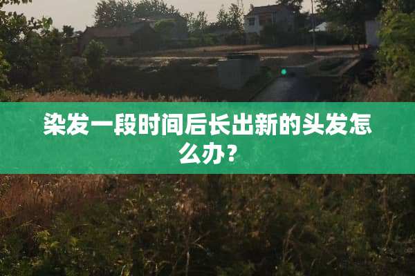 染发一段时间后长出新的头发怎么办？