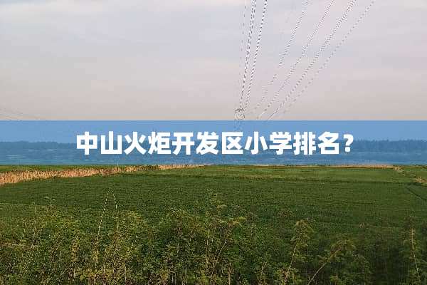中山火炬开发区小学排名？