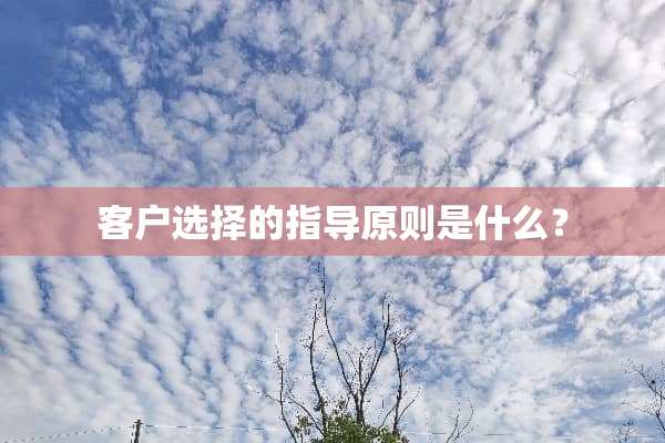 客户选择的指导原则是什么？