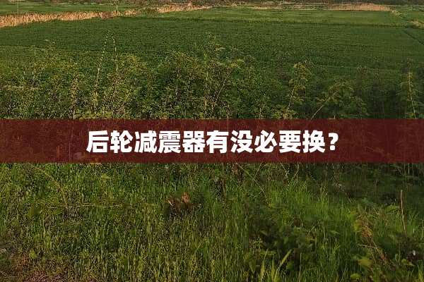 后轮减震器有没必要换？