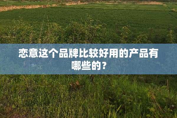 恋意这个品牌比较好用的产品有哪些的？