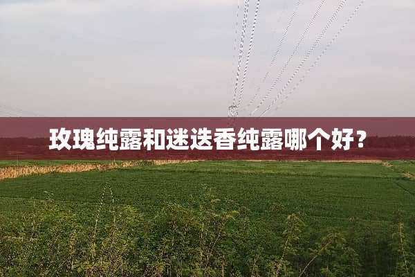 玫瑰纯露和迷迭香纯露哪个好？