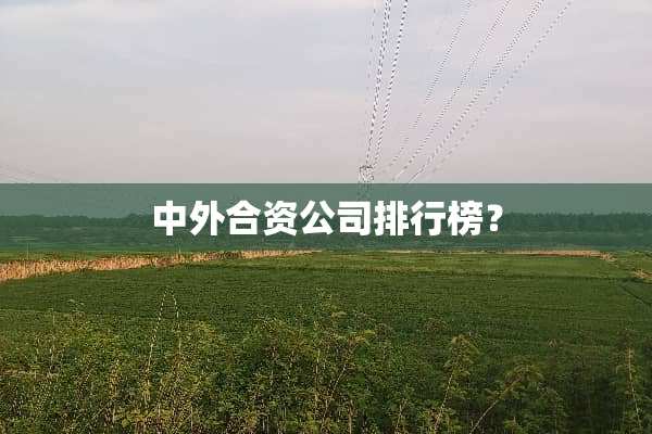 中外合资公司排行榜？