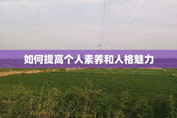 如何提高个人素养和人格魅力