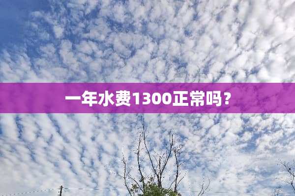 一年水费1300正常吗？