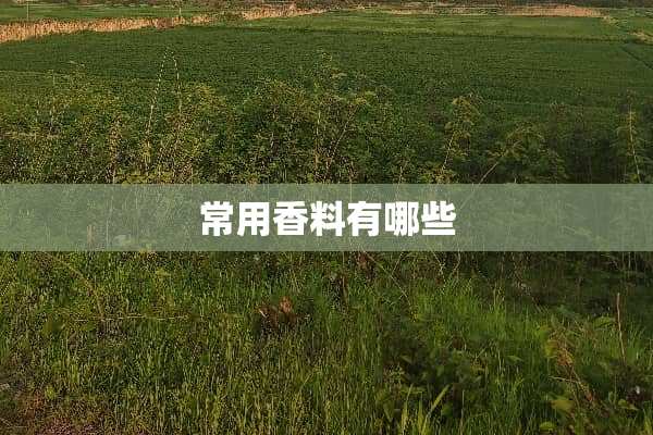 常用香料有哪些