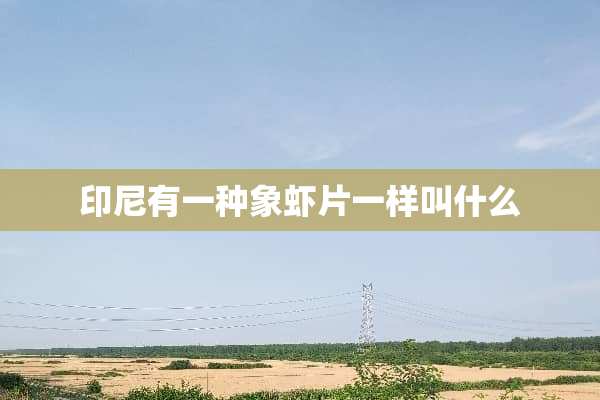 印尼有一种象虾片一样叫什么