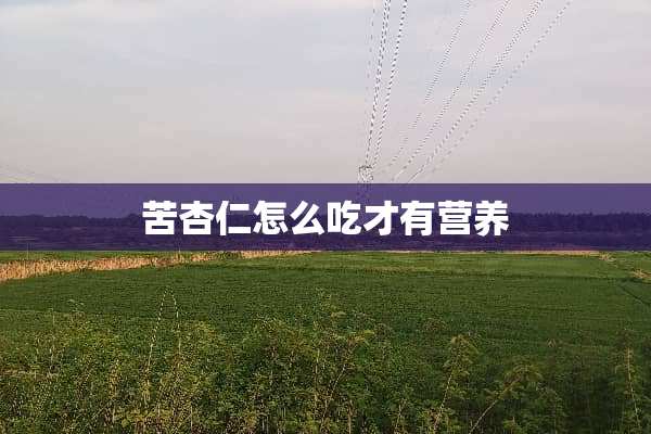 苦杏仁怎么吃才有营养