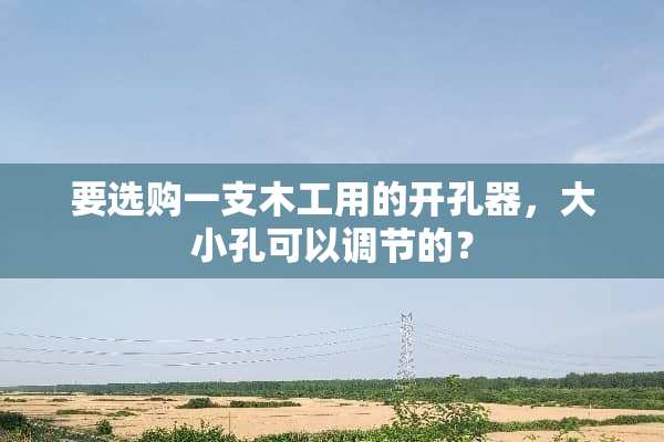 要选购一支木工用的开孔器，大小孔可以调节的？