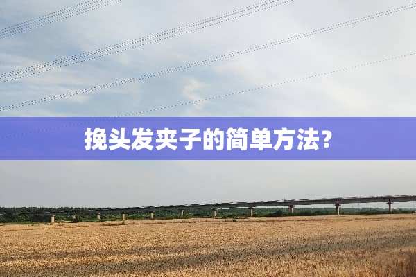 挽头发夹子的简单方法？