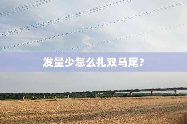 发量少怎么扎双马尾？