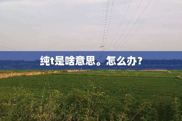 纯t是啥意思。怎么办？