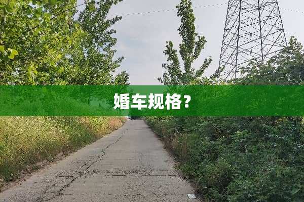 婚车规格？