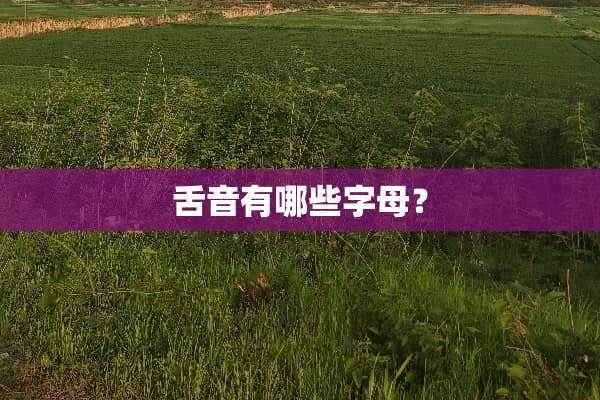 舌音有哪些字母？
