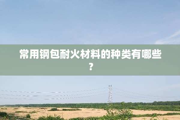 常用钢包耐火材料的种类有哪些？