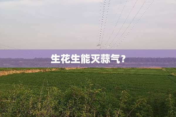 生花生能灭蒜气？