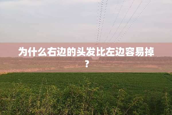 为什么右边的头发比左边容易掉？