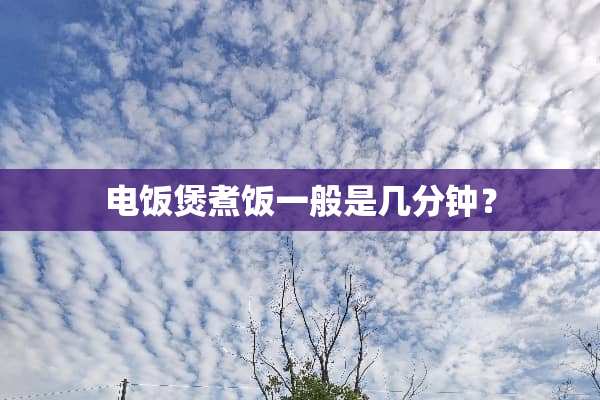 电饭煲煮饭一般是几分钟？