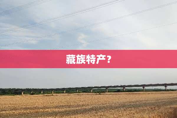 藏族特产？