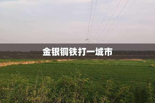 金银铜铁打一城市