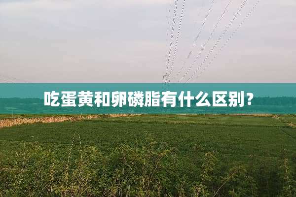 吃蛋黄和卵磷脂有什么区别？