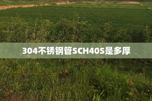 304不锈钢管SCH40S是多厚