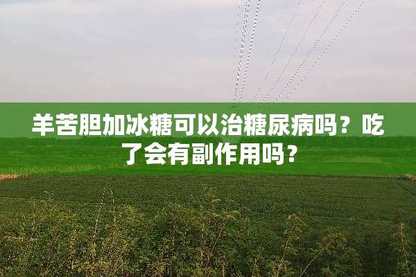 羊苦胆加冰糖可以治糖尿病吗？吃了会有副作用吗？