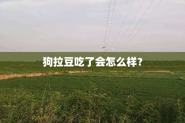 狗拉豆吃了会怎么样？
