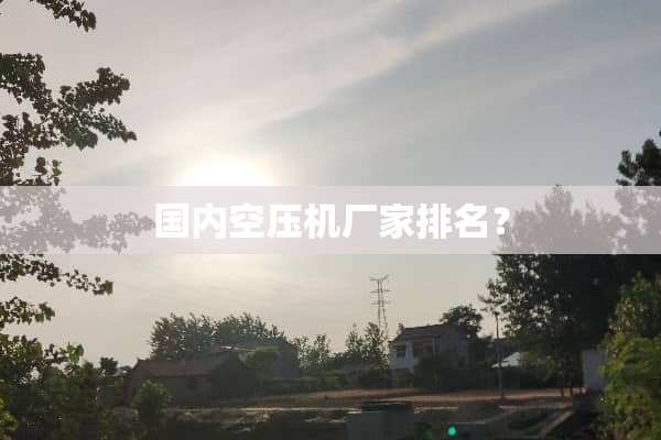 国内空压机厂家排名？