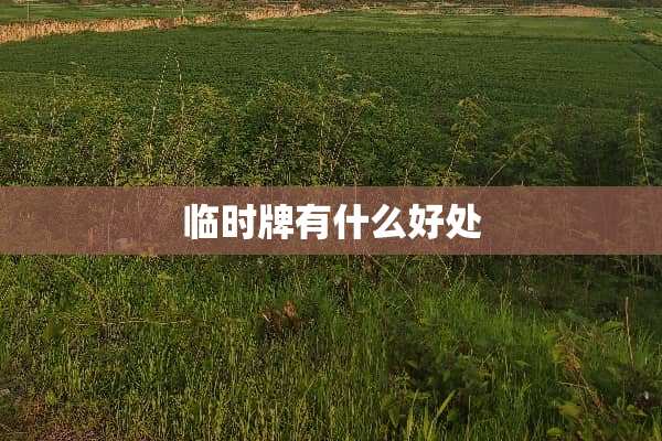 临时牌有什么好处