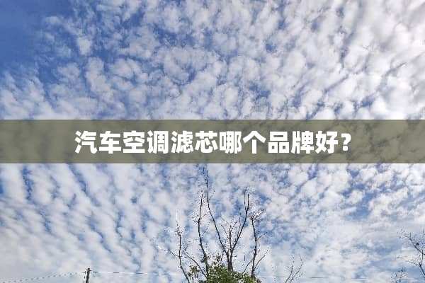 汽车空调滤芯哪个品牌好？