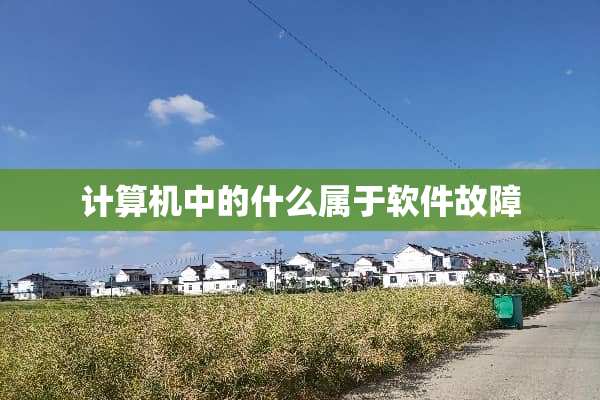 计算机中的什么属于软件故障