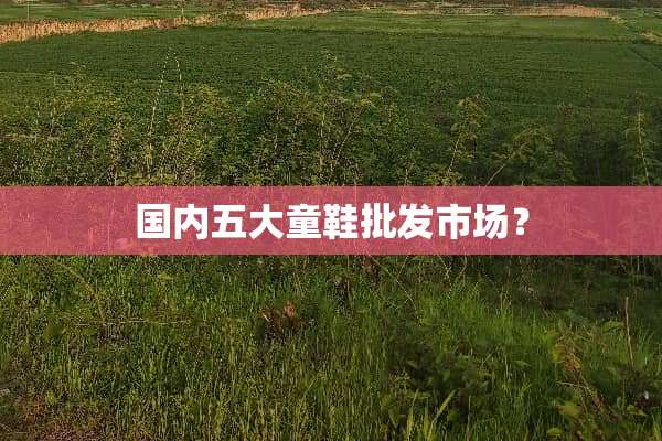 国内五大童鞋批发市场？