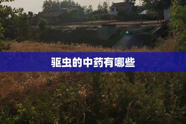 驱虫的中药有哪些