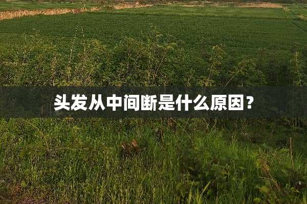 头发从中间断是什么原因？