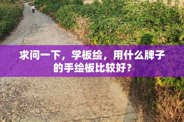 求问一下，学板绘，用什么牌子的手绘板比较好？