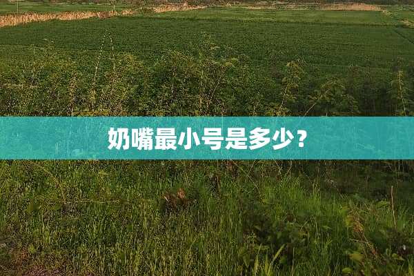 奶嘴最小号是多少？