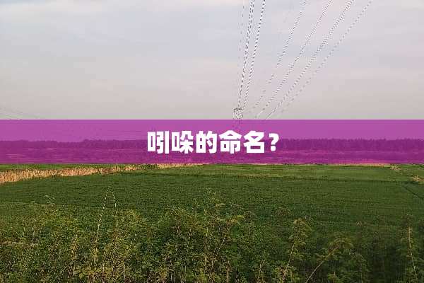 吲哚的命名？