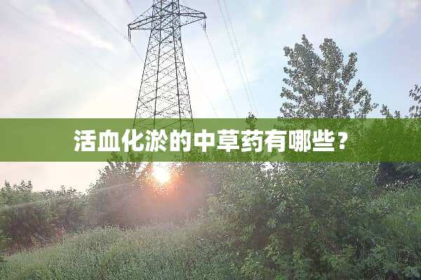 活血化淤的中草药有哪些？
