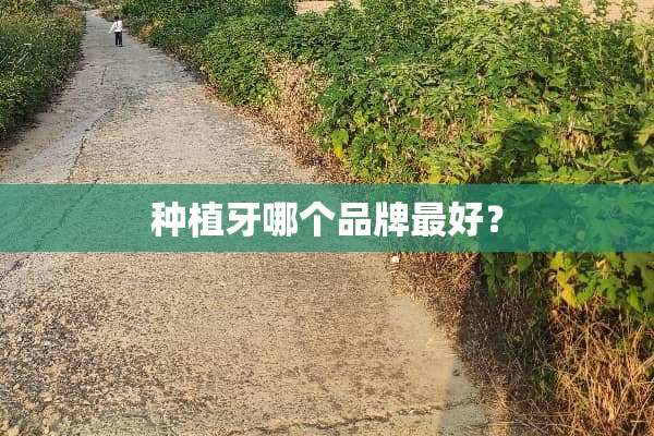 种植牙哪个品牌最好？