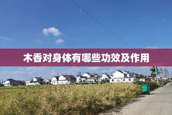 木香对身体有哪些功效及作用