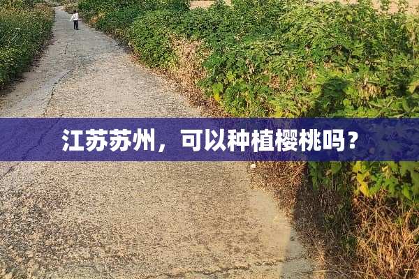 江苏苏州，可以种植樱桃吗？