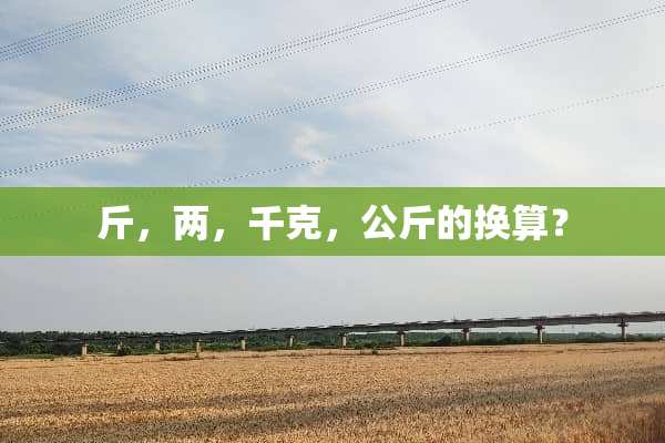 斤，两，千克，公斤的换算？